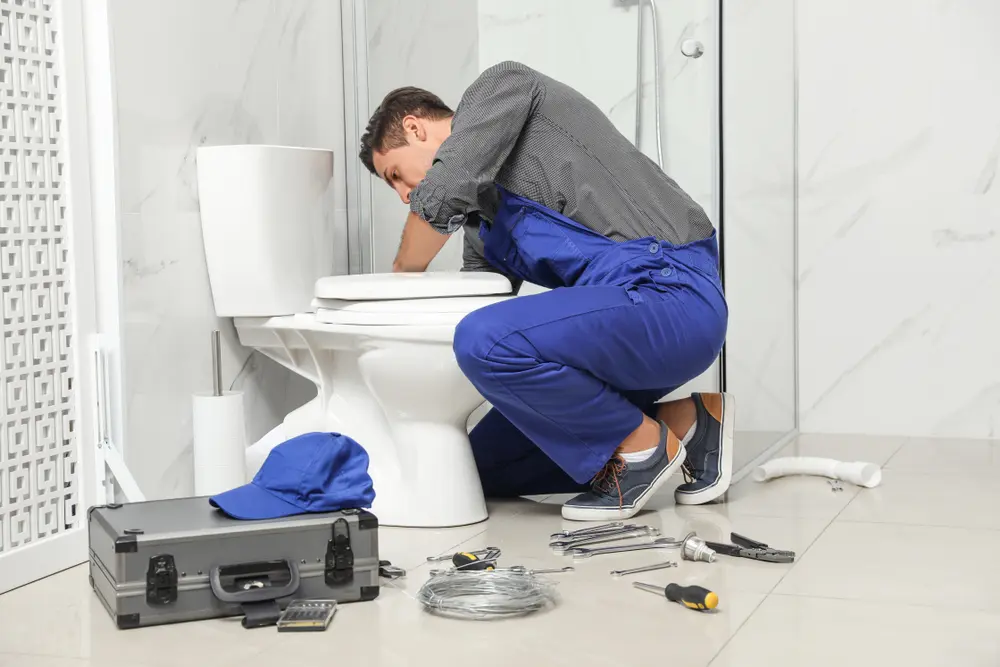 Toilet Installation in Dagsboro